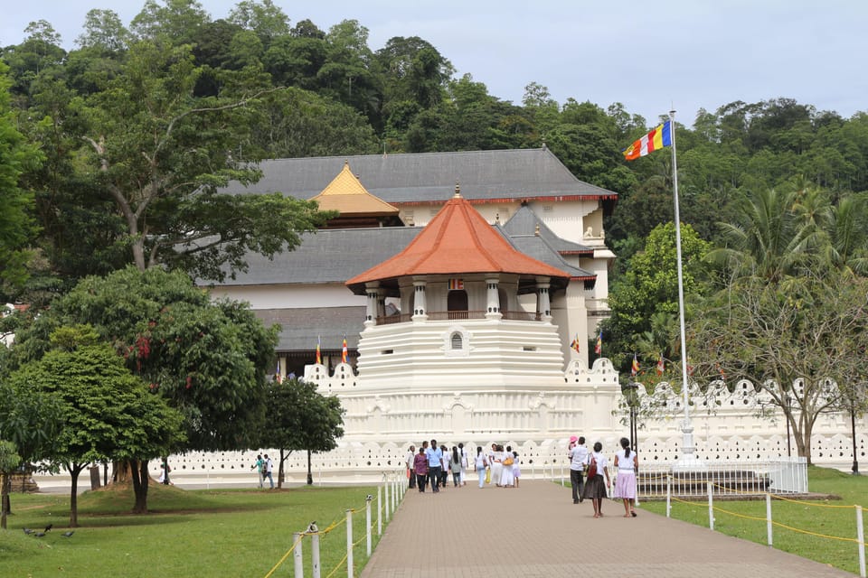 Kandy City Tour - Tour Overview and Pricing