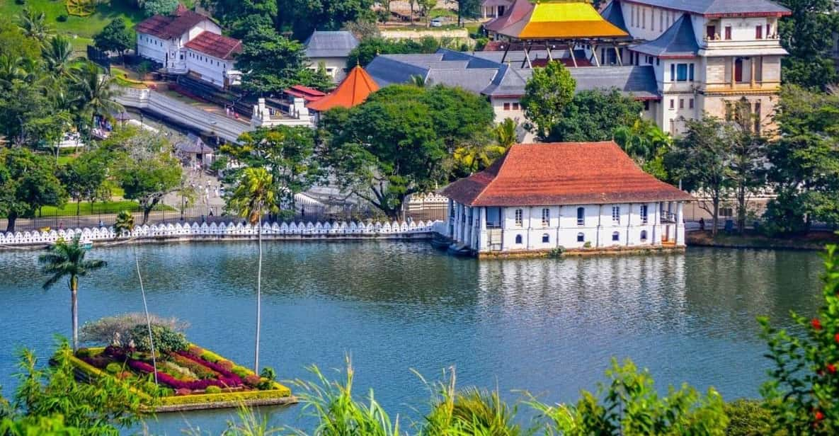 Kandy & Pinnawala: Discover Culture & Nature in a Day Tour.. - Tour Overview