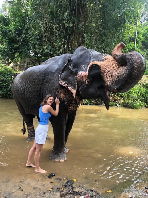 Kandy Privet Day Tour With Pinnawala and Tea Plantation - Exploring Pinnawala Elephant Orphanage