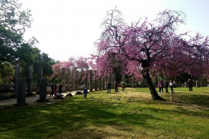 Katakolon Shore Excursion: Premium Skip-the-Lines Olympia & Free Olive Oil Tasting Tour - Tour Details and Inclusions