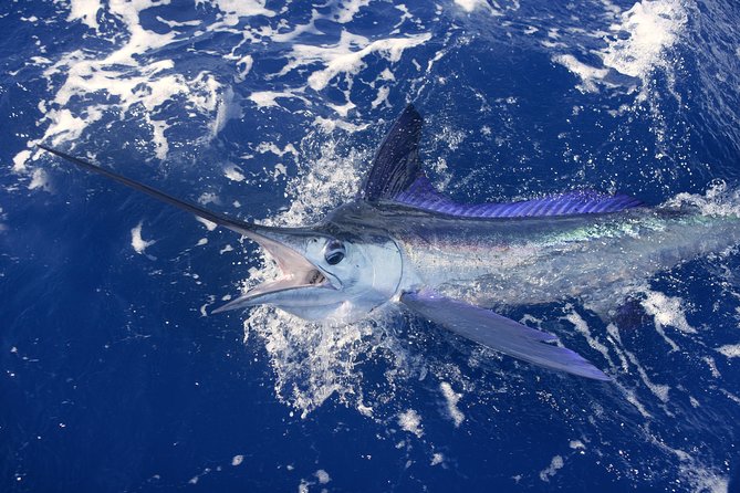 Kauais #1 Sport Fishing Adventure Company