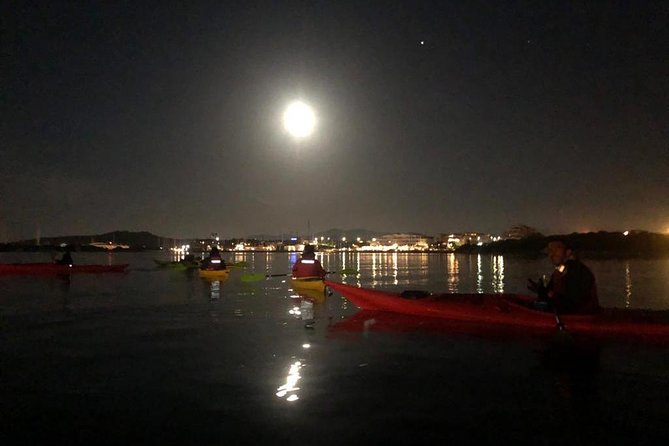Kayak Experience - Overview of the Experience