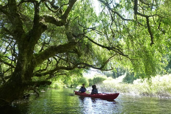 2 Best Kayak And Canoe Tours In Puerto Varas