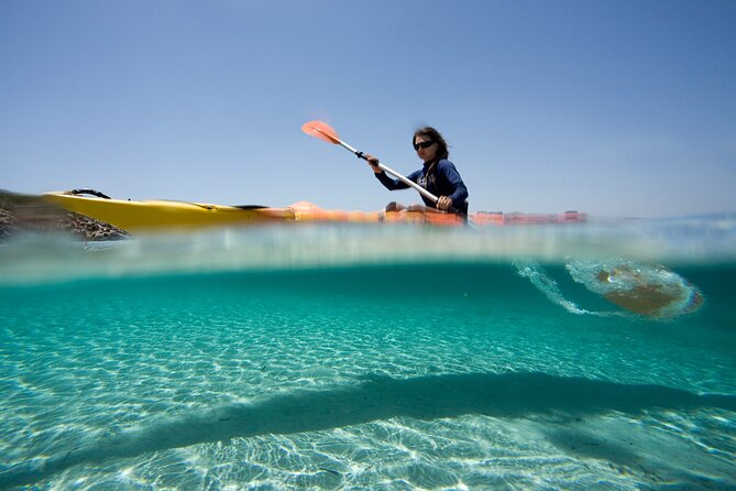Kayak Tour and Snorkelling From Fornells