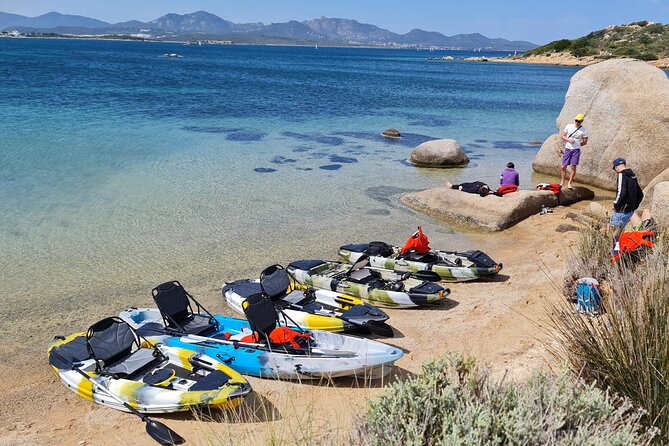 Kayak Tour in Golfo Aranci With Aperitif and Dolphin Watching - Kayaking Highlights in Golfo Aranci