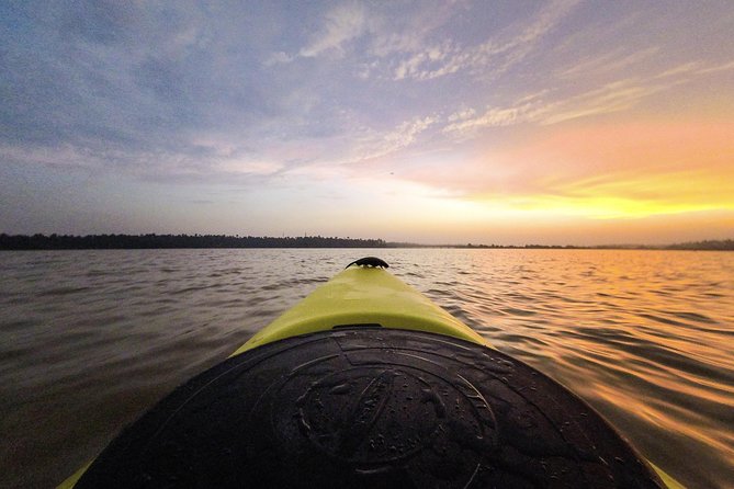 2 Best Kayak And Canoe Tours In Trivandrum