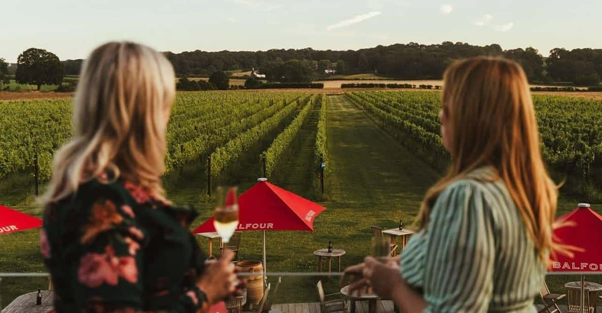 Kent: Balfour Vineyard Walk and Wine Tasting - Discover Balfour Winery