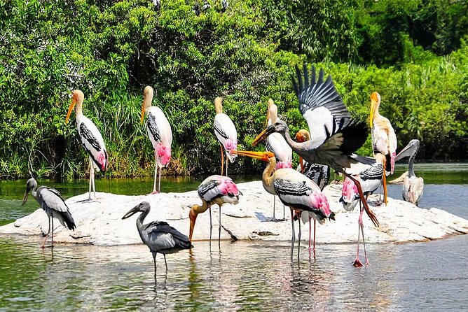 Keoladeo Birds Park Tour From Agra To Jaipur Including Entry