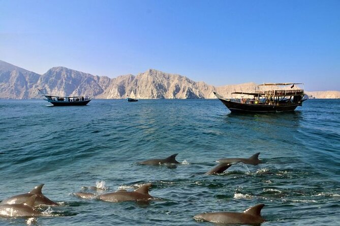 Khasab Musandam Full Day Dhow Cruise With Lunch and Snorkeling - Overview of the Dhow Cruise