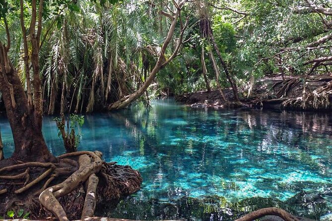 Kikuletwa Hot Spring