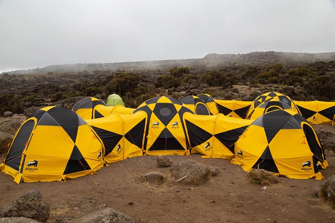 Kilimanjaro Climb, Lemosho Route (6-Day) - Kilimanjaro Climb Overview