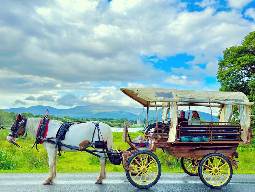 Killarney National Park Tour - Tour Overview