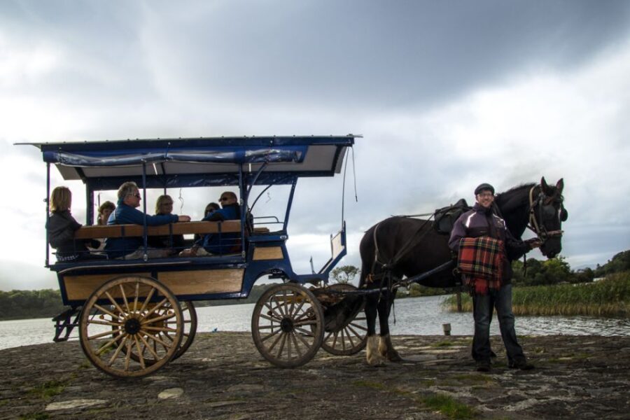 Killarney on Horse & Carriage: 1-Hour Jaunting Car Tour - Tour Overview