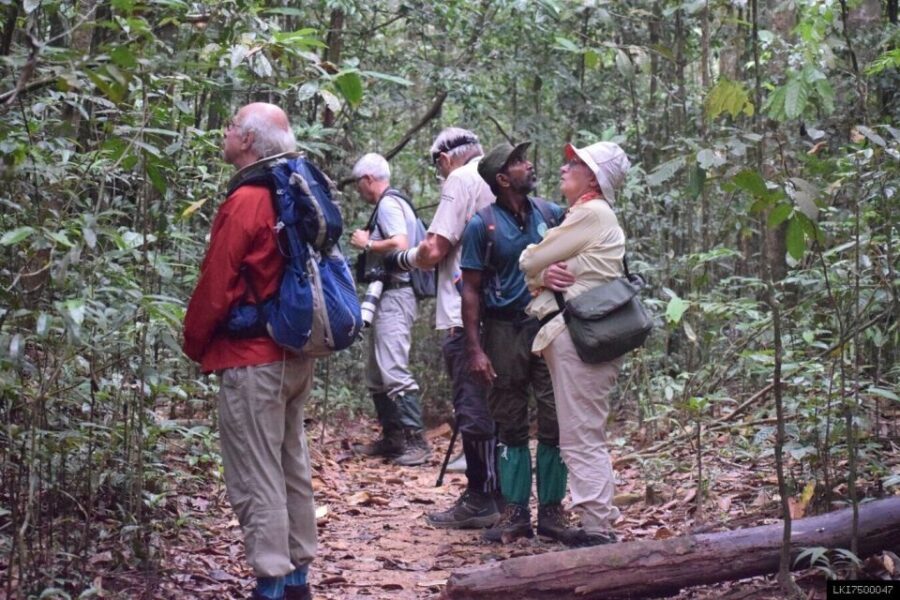 Kitulgala: Private Guided Bird Watching and Trekking Tour