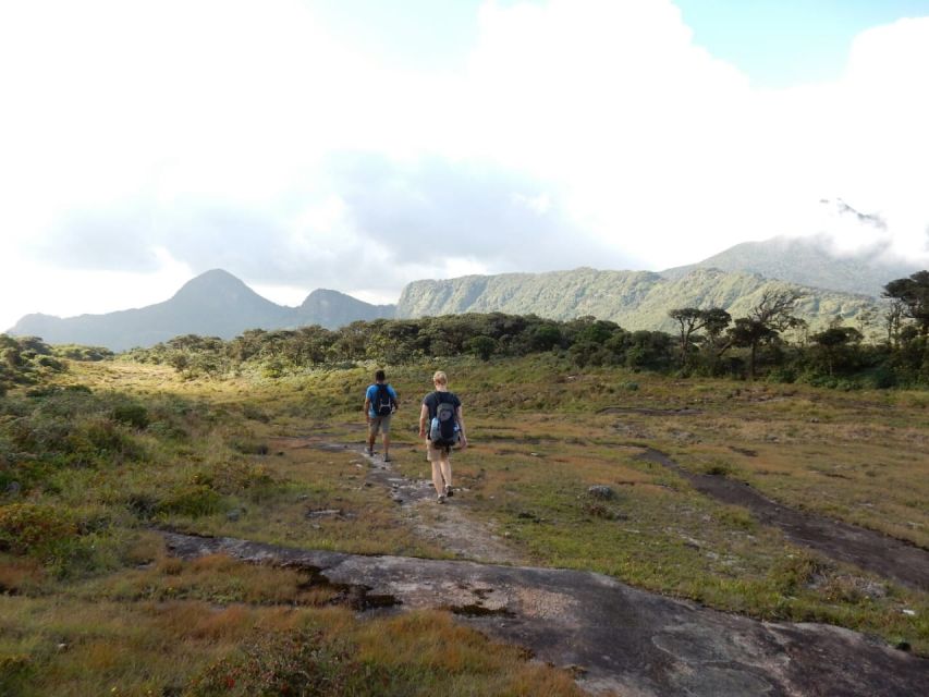 Knuckles Leopard Trail Trek From Kandy - Overview of the Trek