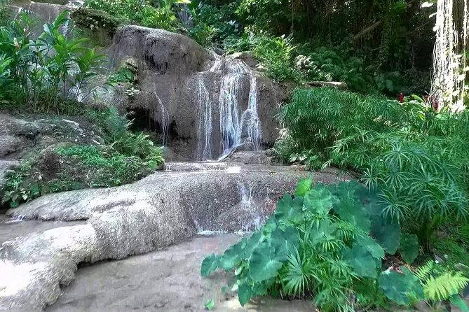 Konoko Falls and Tropical Garden Tour From Runaway Bay