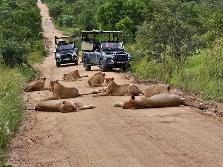 Kruger National Park: 3 Day Tour From Johannesburg/Pretoria - Tour Overview and Pricing