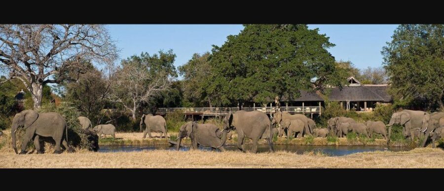 Kruger National Park – 4 Day Tour From Johannesburg