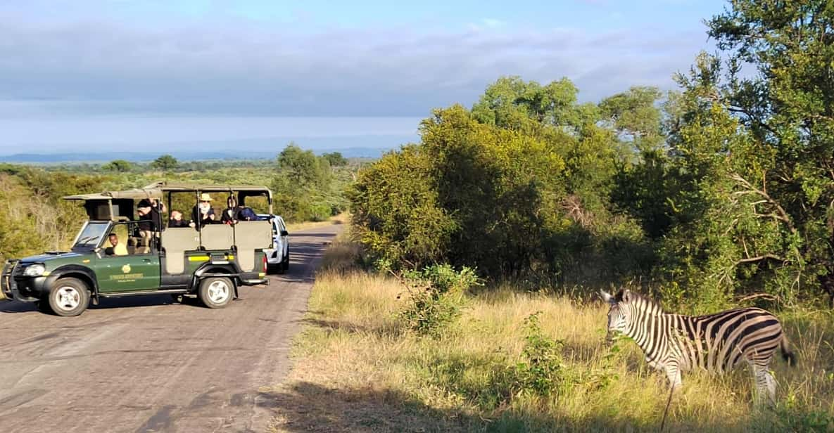 Kruger National Park Half Day - Overview of the Activity