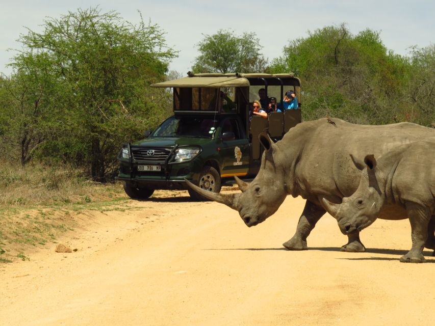 8 Best Safari Tours In Mpumalanga