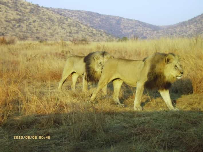 Kruger National Park Tour 3day/2 Nights (Open Safari Truck) - Explore Kruger National Park