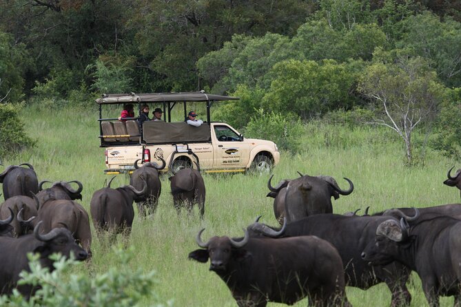 Kruger Park Safari Private Full-Day Tour From Marloth Park
