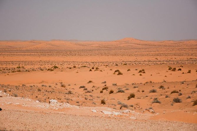 Ksar Ghilane 1 Day: the Hot Spring and the Homestay - Overview of Ksar Ghilane Tour