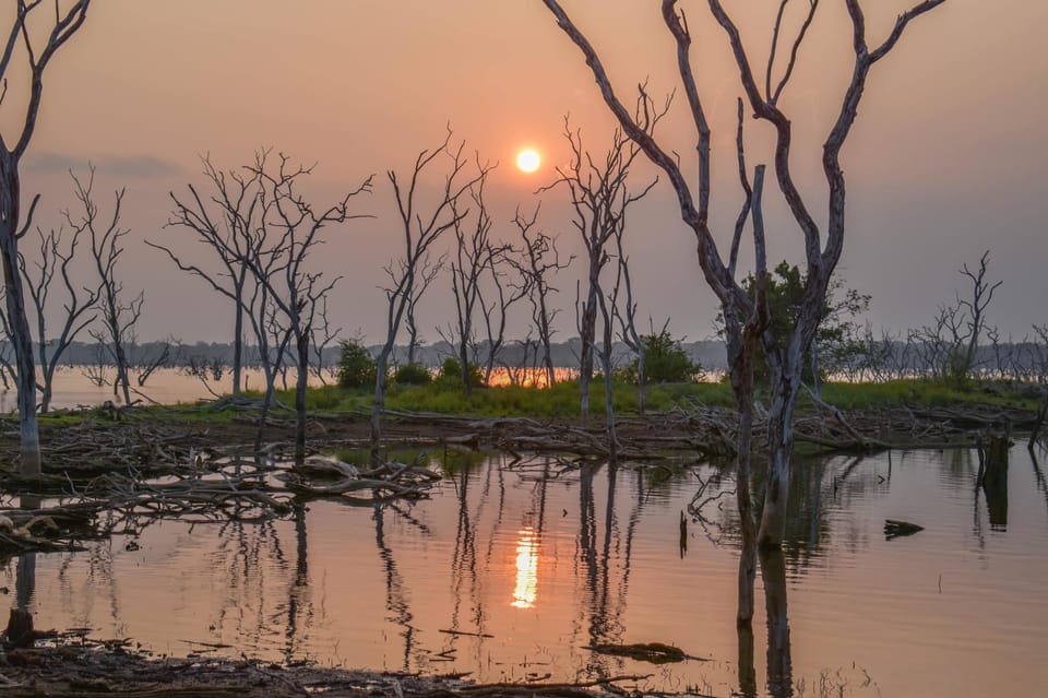 Kumana National Park: Morning Afternoon Leopard Safari (6h) - Wildlife and Park Highlights