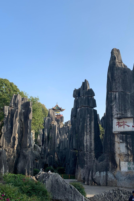 Kunming Stone Forest Day Tour - Itinerary Highlights