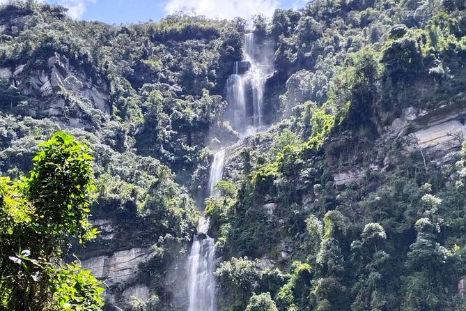 La Chorrera Cloud Forest & Waterfall Hike