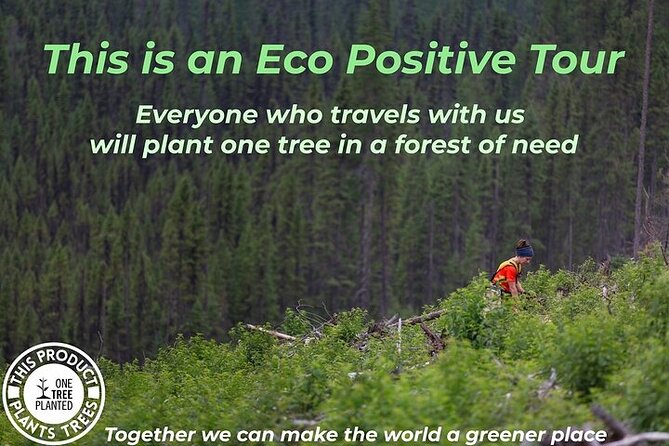 LA: San Francisco, Yosemite, Santa Barbara & Carmel, 3-Days - Tour Overview