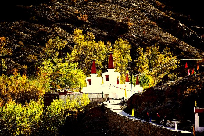 Ladakh Sham Valley Trek - Overview of the Trek