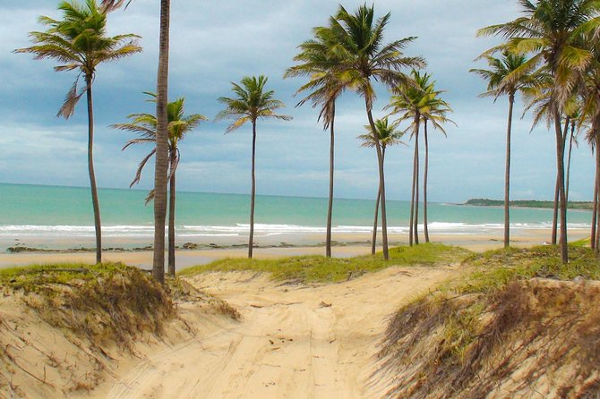 Lagoinha Beach Tour - Transportation and Pickup