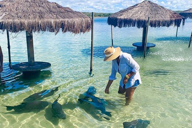 LAGOON of TAMBAQUIS (An Amazing Experience) - Location and Geography