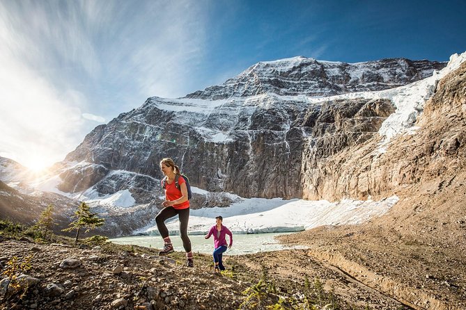 Lake Louise to Jasper One-Way Tour