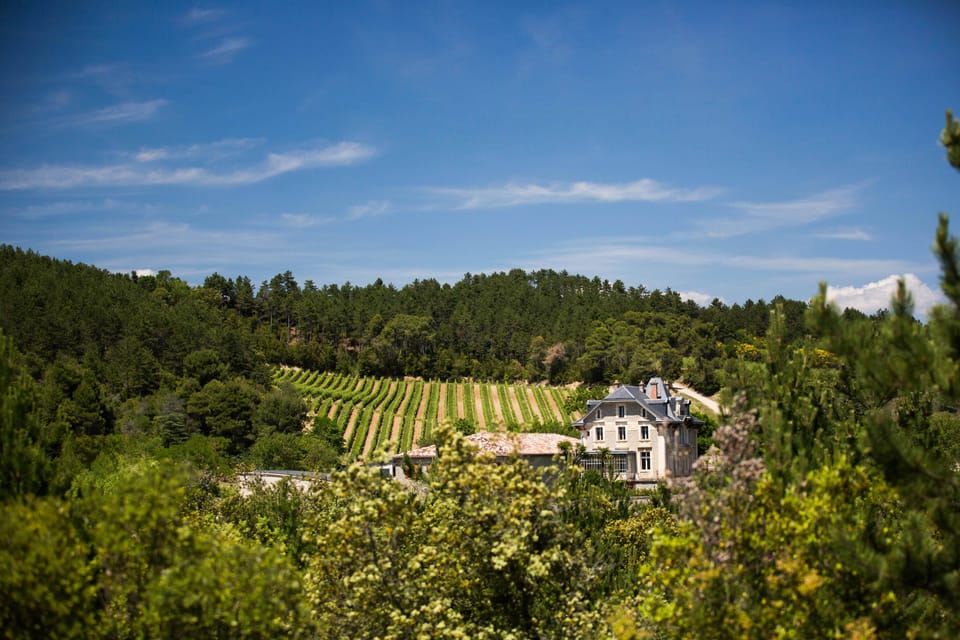 Languedoc: Heritage Tour & Tasting at Domaine De Baronarques - Tour Overview