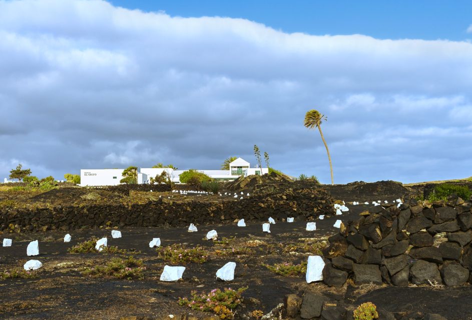 Lanzarote: Audio Guided Tour of the El Grifo Wine Museum - Tour Overview