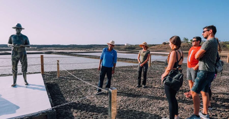 Lanzarote: Janubio Salt Flats Guided Tour