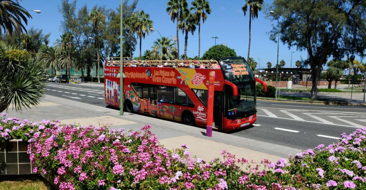 Las Palmas: City Sightseeing Hop-On Hop-Off Bus Tour - Tour Overview and Pricing