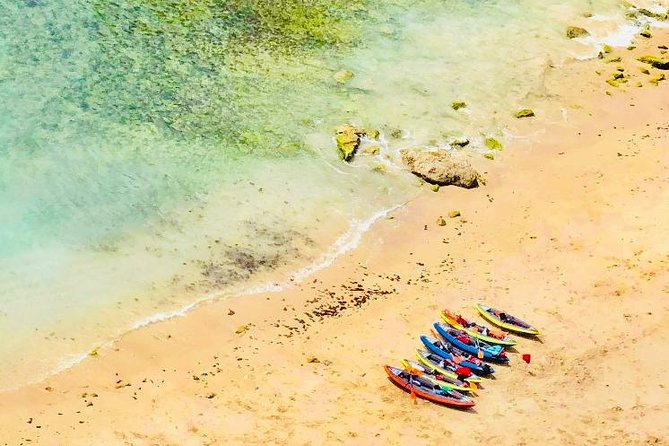 Lisbon Kayak Tour (Transfer & Lunch) - Overview