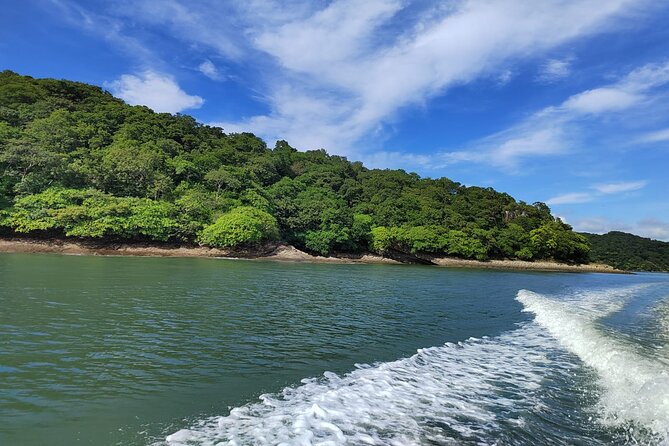 Local Sightseeing & Mangrove Tour