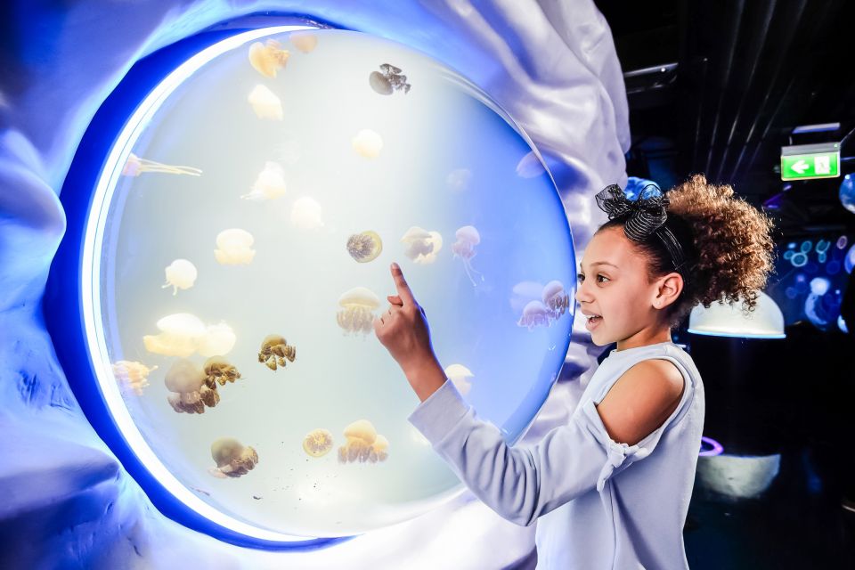 London: SEA LIFE Entry Ticket - Ticket Pricing Details