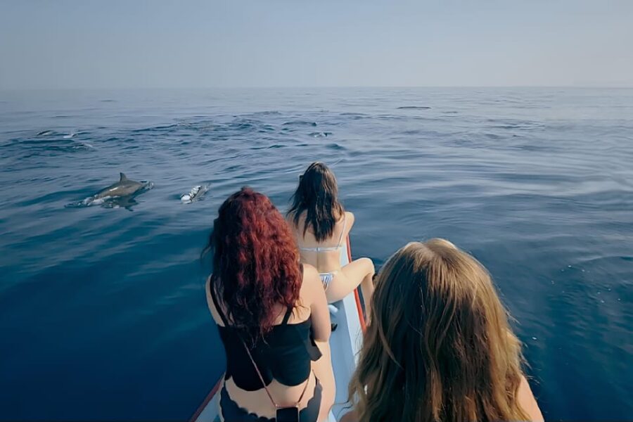 Lovina-Bali: Dolphin Watching & Snorkeling; Hot Spring