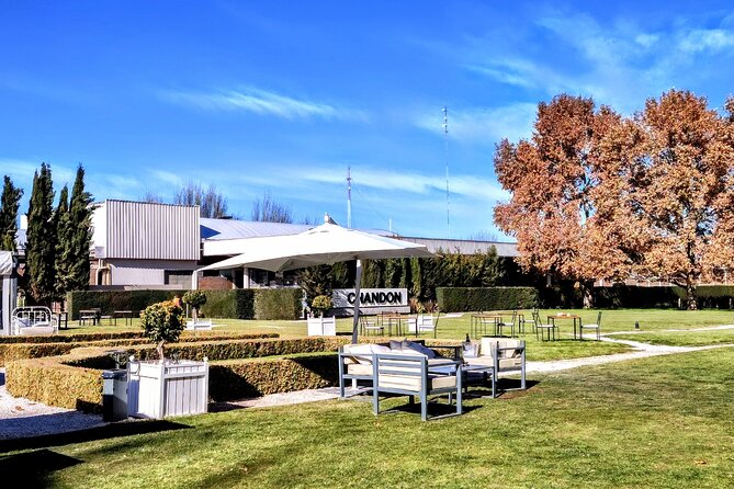 Luján Wine Tasting Guided Experience With Lunch - Highlights of the Itinerary