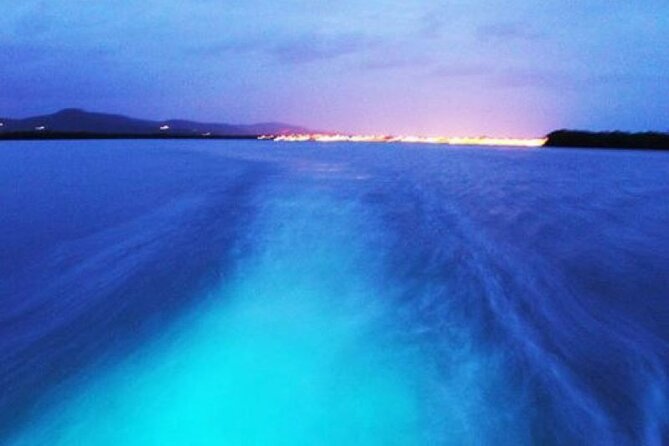 Luminous Lagoon From Runaway Bay
