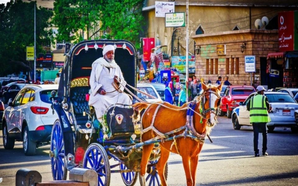 Luxor : Luxor City Tour By Horse Carriage Private Tour - Tour Overview and Pricing