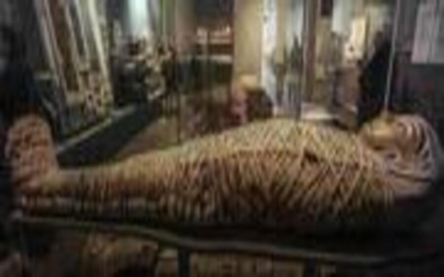 Luxor Private Tour: Luxor Museum & Mummification Museum. - Overview of the Tour