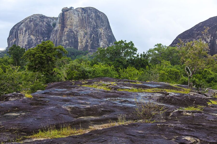 Luxury Camping and Safari Experience in Yala Park