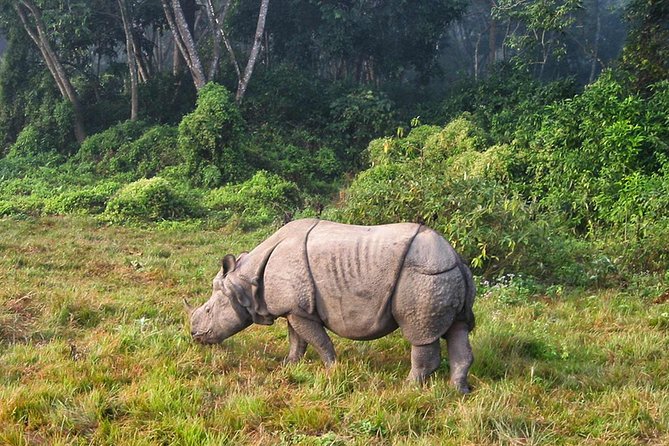 Luxury Chitwan Tour Package 2 Nights 3 Days From Kathmandu - Tour Overview
