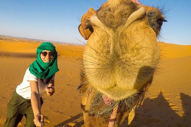 LUXURY Desert Camp: 3 Days Marrakech to Merzouga and Camel Trek